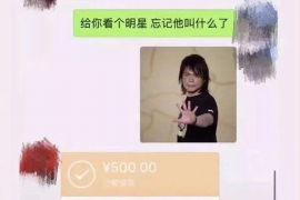 大方大方讨债公司服务