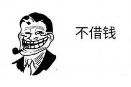 大方大方的要账公司在催收过程中的策略和技巧有哪些？